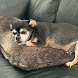 Meet your Posher, Paula